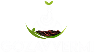 Gozavvermi